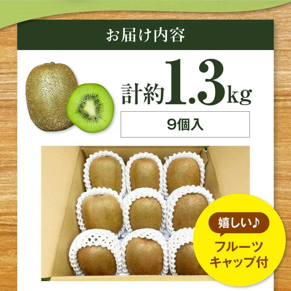 キウイフルーツ 約1.3kg（×9個） [AGDC002]