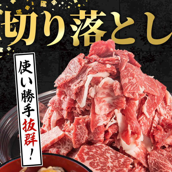 i1000 鹿児島県産 黒毛和牛 切り落とし (計約1kg・約500g×2パック) 国産 九州産 鹿児島産 黒毛和牛 牛肉 国産牛 切り落とし 切落し 小分け 冷凍配送 【スターゼン】
