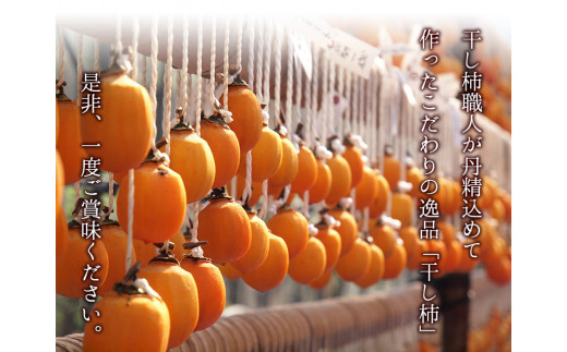 【2026年発送先行予約】 山ノ上 干し柿 セット 《2026年12月上旬-12月末頃出荷》 水車の里フルーツトピア 岡山県 矢掛町 柿 果物 フルーツ 干柿餅