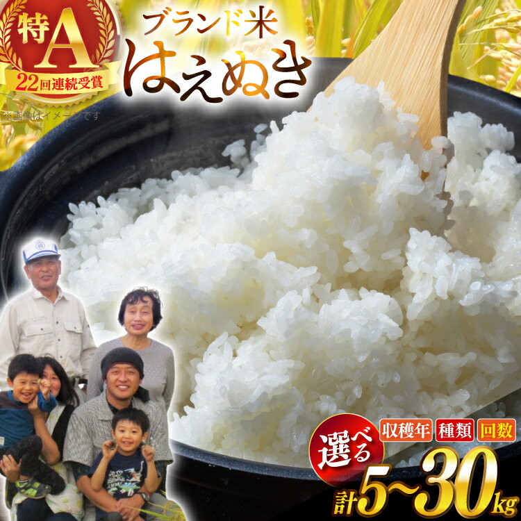 【ふるさと納税】 米 令和7年/8年産 【選べる】 定期便 種類 内容量 発送回数 はえぬき 特別栽培米 慣行栽培 [山形県 高畠町 金子農園 tk06ays950058] 精米 白米 米 こめ お米 ブランド米 ごはん ご飯 5kg 10kg 1回 3回 6回 定期