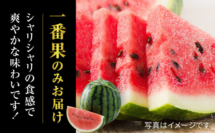 【先行予約】【4回定期便】スイカ・メロン 厳選定期便  化粧箱入り【株式会社前田ファーム】 [ZCM013]