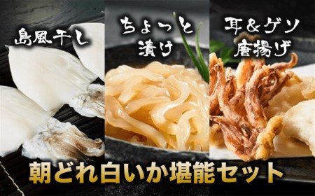 【朝どれ高級白いか堪能セット】島風干し×ちょっと漬け×耳＆ゲソ米粉唐揚げ 父の日 母の日 バーベキュー ギフト