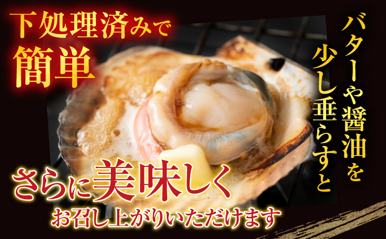 ＼漁業者応援品／根室海鮮市場＜直送＞片貝ほたて10枚×2袋 A-28124