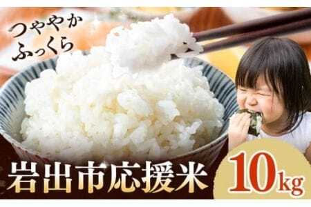 米 こめ 岩出市応援米 約10kg 《30日以内に出荷予定(土日祝除く)》 米米米