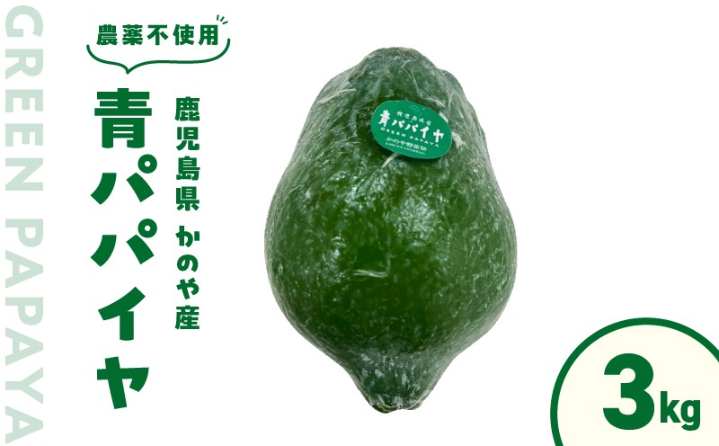
            かのや産青パパイヤ 約3kg 【農薬不使用】　KN026-019-02
          