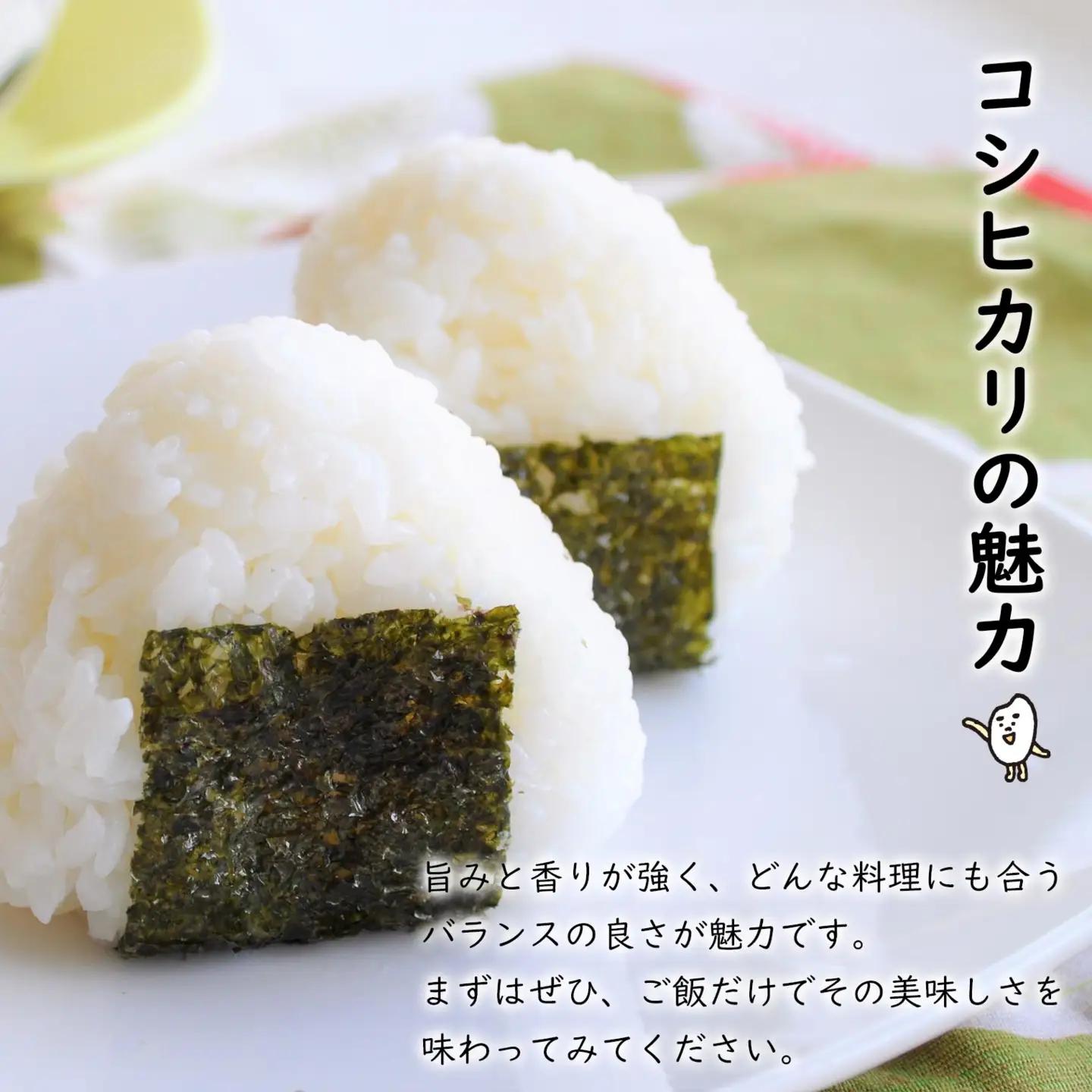 【3ヶ月連続定期便】 米 白米 コシヒカリ 計15kg(5kg×3回) 令和8年産 米 S256