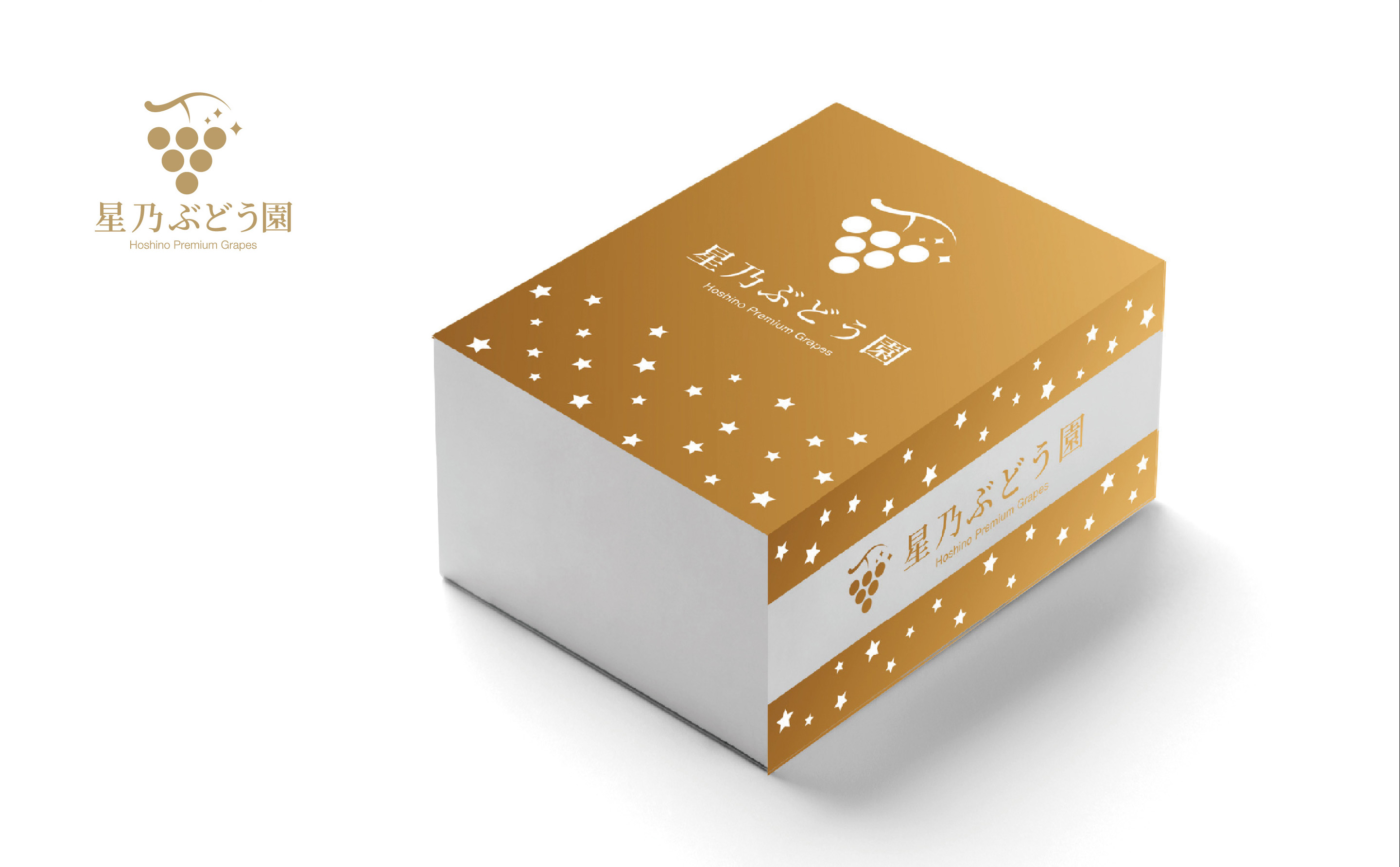 【三つ星ブランド】星乃シャインマスカット 数量限定 (岡山県産) 2房(1.3kg以上)【配送不可地域：離島・北海道・沖縄県】