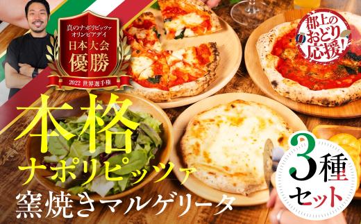 ピザ 冷凍ピザ 本格ナポリピッツァ 食べ比べ 3種セット【白鳥おどりを応援】レギュラーサイズ 計6枚 マルゲリータ クワトロフォルマッジ マリナーラ 食品 惣菜 洋風惣菜 冷凍 パーティー G0097b_ods odori-s
