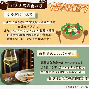 ＜先行予約受付中！2025年2月より順次発送予定＞数量限定！有機JAS 甘夏(約5kg) 国産 果実 果物 フルーツ 柑橘 デザート 期間限定 有機栽培 【中村農場】a-9-4