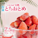 【ふるさと納税】【訳あり】 冷凍いちご 2.5kg (500g x 5) 先行予約 【2025年4月ごろ発送予定】 甘熟 完熟【凍眠冷凍】下妻市内のいちご生産者Ben’s Berry【いちご イチゴ 苺 とちおとめ 冷凍いちご 便利 甘熟 完熟 甘い ストロベリー 果物 フルーツ】