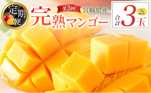 
            宮崎特産「完熟マンゴー2L×1玉」お届け定期便（全3回）計3玉 特産 国産 果物 フルーツ 旬 産地直送【E218-26】
          