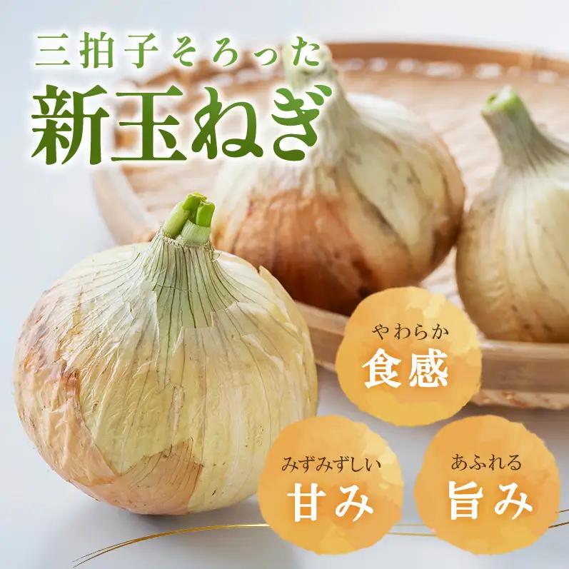 新玉ねぎ 淡路島産 5kg 甘い みずみずしい 新玉ねぎ