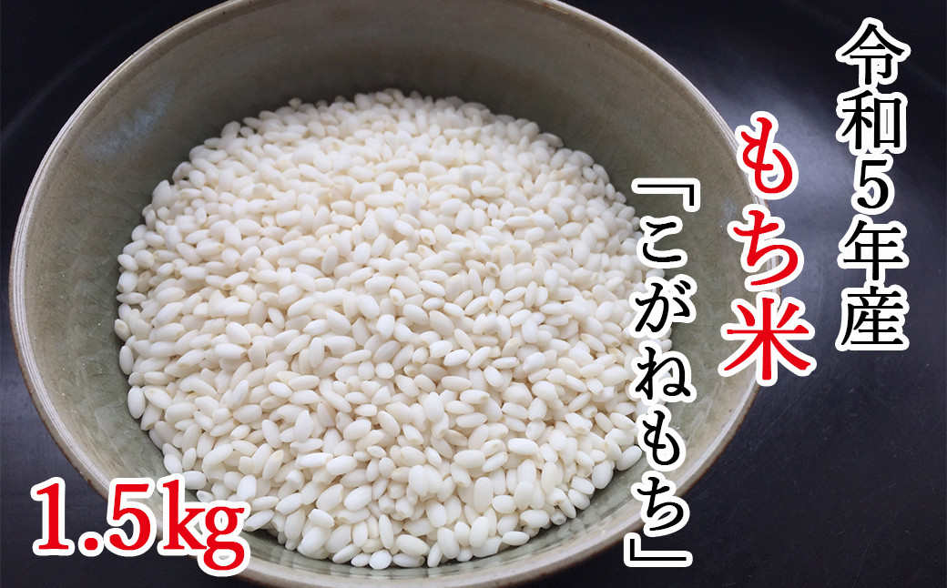 
【令和5年産】平泉町産もち米 こがねもち 1.5kg / お米 こめ もちごめ 令和5年産 産地直送 国産 もち米の王様 年末 お正月 餅つき お餅 お雑煮 ぞうに お赤飯 おはぎ ぼたもち ギフト プレゼント 贈答 お祝い お返し
