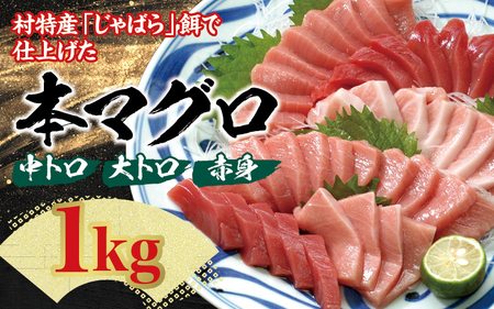 本マグロ（養殖）トロ＆赤身セット1kg 【通常発送】/ まぐろ 鮪 とろ 赤身 魚介 海鮮 魚 本マグロ【nks105】