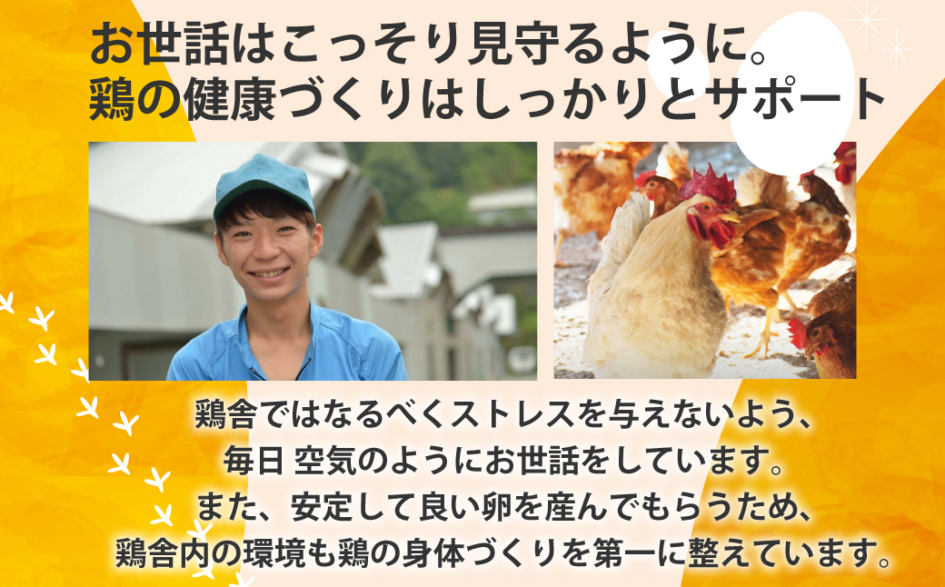 JK-04　【3ヶ月定期便】のびのび育ちの平飼い有精卵（30個×3ヶ月）_イメージ4