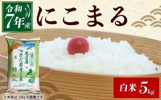 令和7年産 にこまる 白米 5kg 米 コメ お米 新米  5キロ 米5kg ご飯 ごはん ニコマル おにぎり お弁当 滋賀 彦根