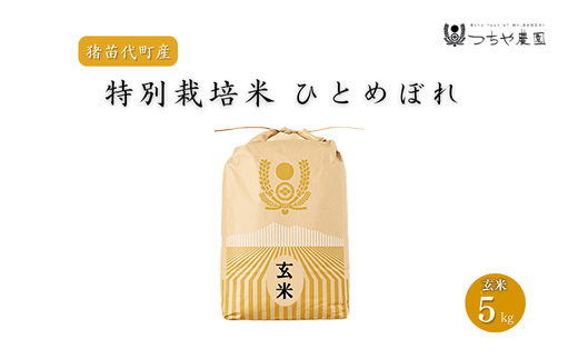 【令和7年度産 新米】 つちや農園 猪苗代町産 玄米 特別栽培米ひとめぼれ 5kg（玄米）| お米 米 ひとめぼれ ※2025年11月上旬頃より順次発送予定