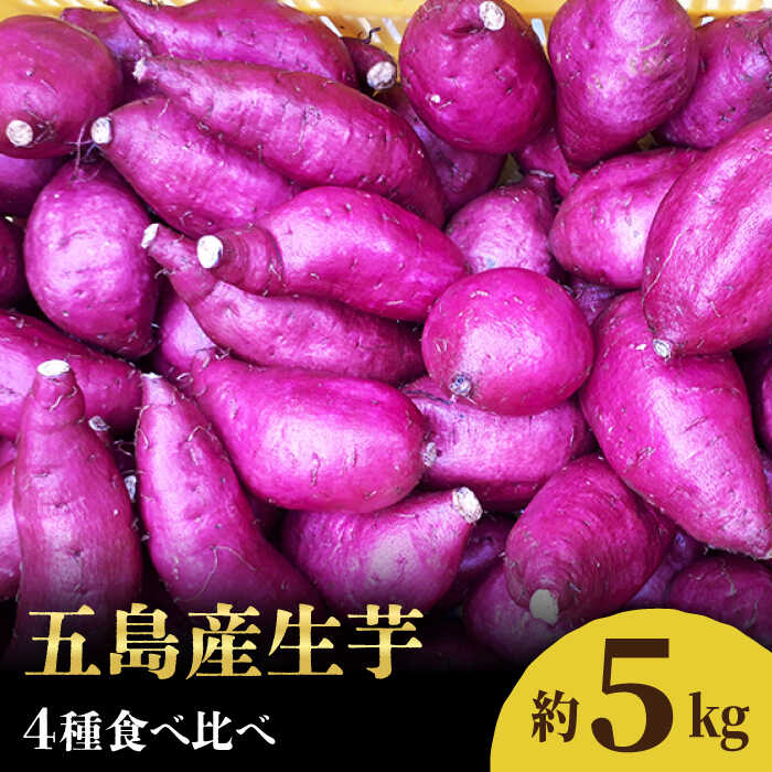 【ふるさと納税】五島産生芋5kg 安納芋 シルクスイート 紅はるか ふくむらさき 常温 五島市 / 芋蔵林 [PDO007]