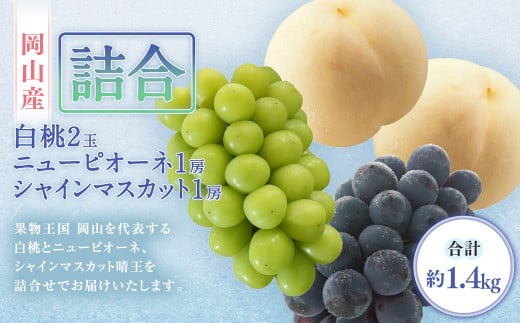 詰合／ 白桃 2玉（1玉220g以上）・ ニューピオーネ 1房（480g以上）・ シャインマスカット 1房（ 晴王 ・480g以上） 合計約1.2kg以上 化粧箱入り 【2026年7月下旬～8月上旬迄発送予定】 桃 もも 葡萄 ブドウ ぶどう フルーツ 果物 ギフト 国産 岡山県産