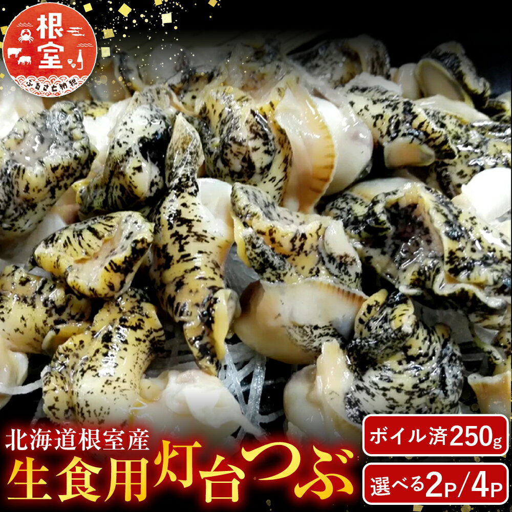 【ふるさと納税】＼年内配送間に合います！／ [北海道根室産] 生食用灯台つぶ ( ボイル済 ) 250g 選べる 2P 4P ツブ つぶ貝 ツブ貝 貝 つぶがい ツブガイ お取り寄せ グルメ 海鮮 北海道 根室市 ふるさと納税