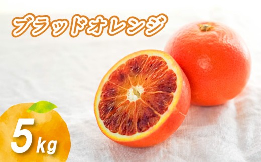 【2027年2月上旬頃より順次発送】ブラッドオレンジ 5kg | 数量選択可 みかん ミカン 蜜柑 柑橘 数量限定 愛媛県産 松山市 中島 低農薬 愛媛 送料無料
