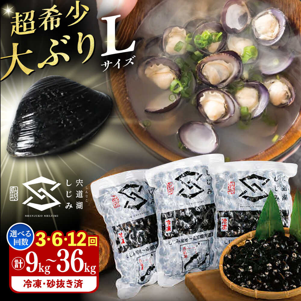 【ふるさと納税】【選べる 定期便】地元でも入手困難なレアサイズ！ Lサイズ 宍道湖産ヤマトシジミ(冷凍砂抜き済み)1kg×3袋(3kg) 島根県松江市/宍道湖漁業協同組合[ALAZ006]｜定期便 3回 6回 12回 人気 おすすめ しじみ シジミ 蜆 しじみ汁 味噌汁 みそ汁 冷凍