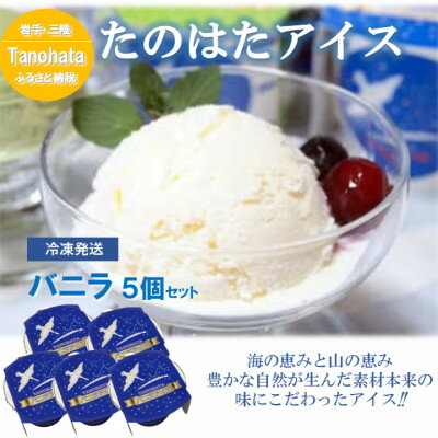 【ふるさと納税】生乳100%で仕上げたなめらかな口溶けアイス　バニラ5個セット(120g×5個)【配送不可地域：離島】【1596859】