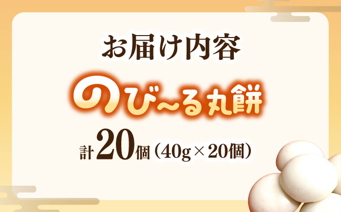 【手作りつきたて急速冷凍】佐賀県産もち米100%自慢の杵つき丸白餅(冷凍)計20個入 / 佐賀県 / 山代ガス株式会社 旬菜舎 [41AABM022]