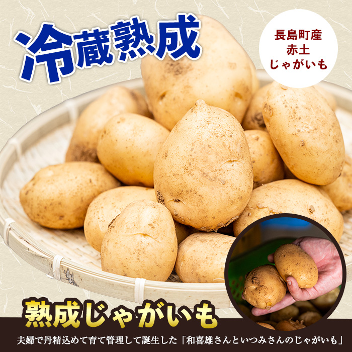 和喜雄さんといつみさんの熟成じゃがいも5kg【飯尾和喜雄農園】iio-1015
