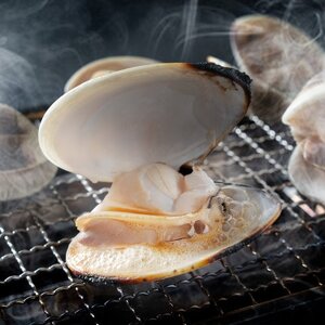 ≪千葉ブランド水産物認定品≫　　　　　　九十九里産活けはまぐり約6.4kg/68～88個【配送不可地域：離島】【1134298】