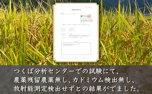 【令和7年度産米】尾谷農園 自然栽培米コシヒカリ 玄米5kg ※北海道・沖縄・離島への配送不可