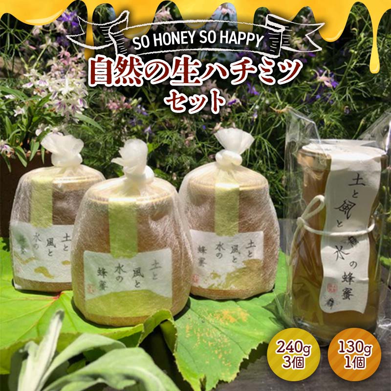 【ふるさと納税】SO HONEY SO HAPPY 自然の生ハチミツセット はちみつ ハチミツ 蜂蜜 調味料 加工品 食品 砂糖 F4N-2549