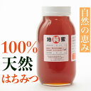 【ふるさと納税】100％天然はちみつ 1200g