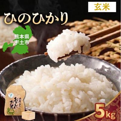ふるさと納税 宇土市 【先行予約】令和8年産米 那須自然農園「ひのひかり」玄米5kg