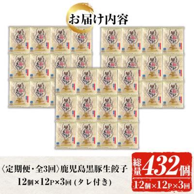 ふるさと納税 いちき串木野市 【3か月定期便】人気の鹿児島黒豚生餃子 合計144個(12個×12P)を3回お届け |  | 03
