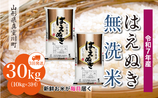 ＜令和7年産米＞ はえぬき 【無洗米】 定期便 30kg （10kg×1ヶ月間隔で3回お届け）＜配送時期指定可＞　山形県真室川町