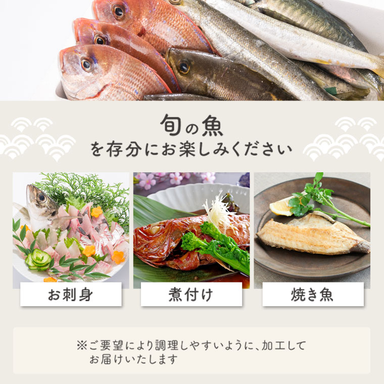 【A09002】魚屋さんの選んだ新鮮お魚詰め合わせ_イメージ5