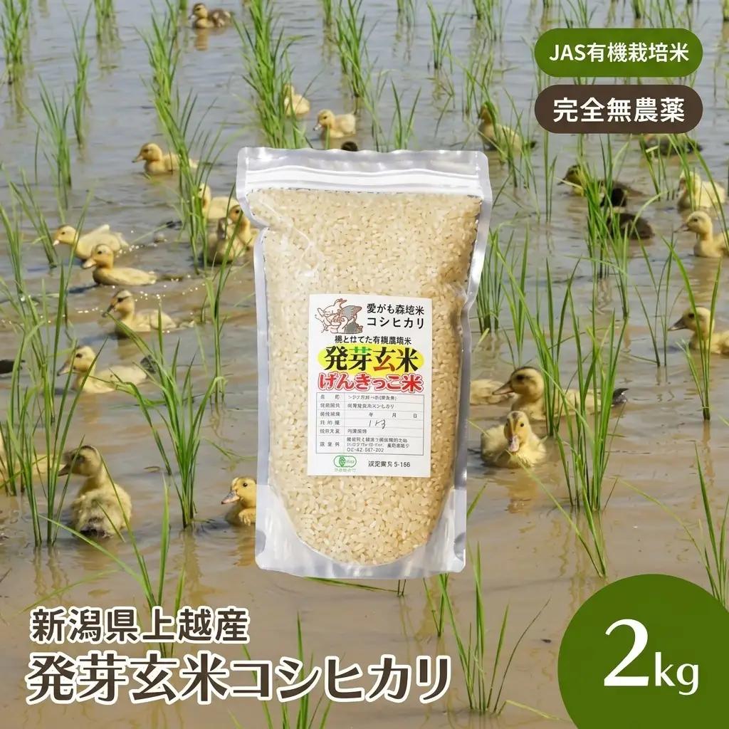 JAS 有機栽培 アイガモ農法 コシヒカリ 発芽玄米 2kg コシヒカリ 新潟