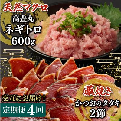 ふるさと納税 室戸市 【交互定期便 / 4ヶ月連続】 土佐流藁焼きかつおのたたき2節と高豊丸ネギトロ600g