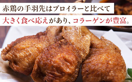 【6回定期便】赤鶏の手羽先 2kg【日本一鶏肉研究所 株式会社 】 鶏肉 赤鶏 手羽先 とり肉 鳥肉  [ZCU089]