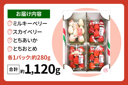 [2026年1月上旬より順次発送] 4種類の「完熟いちご」 食べ比べ！ Aセット 280g×4パック 日光の自然が育むいちご｜先行予約 期間限定 イチゴ 苺 フルーツ とちおとめ とちあいか スカイベ