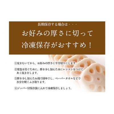 ふるさと納税 氷川町 レンコン 約3kg 熊本県氷川町産 道の駅竜北 |  | 03