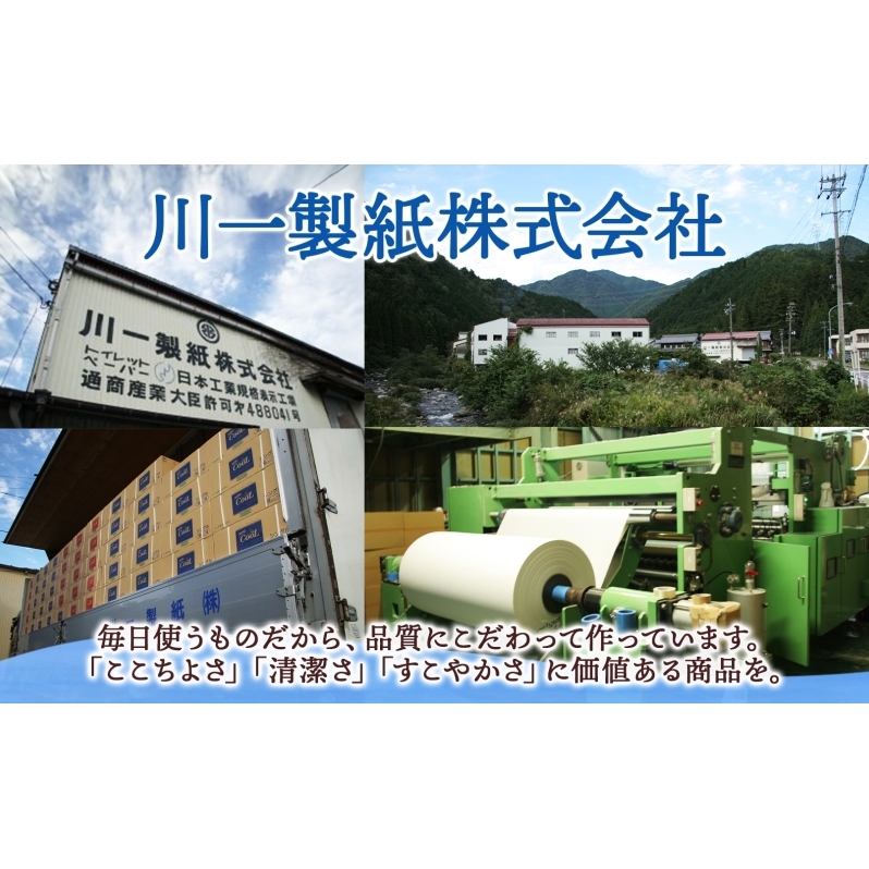 定期便 12ヶ月 連続12回 トイレットペーパー 25m ダブル 12ロール 8袋 計96ロール 天使の時間 紙 ペーパー 日用品 消耗品 リサイクル 再生紙 無香料 厚手 ソフト トイレ用品 備蓄 