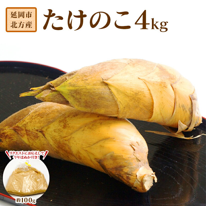【ふるさと納税】先行予約 延岡市北方産たけのこ 4kg アク抜き用ぬか付 約100g 2025年3月中旬発送開始 たけのこ 新鮮 皮付き 土付き 堀たて その日の内に発送 美味しい 料理に 食品 お取り寄せ 送料無料