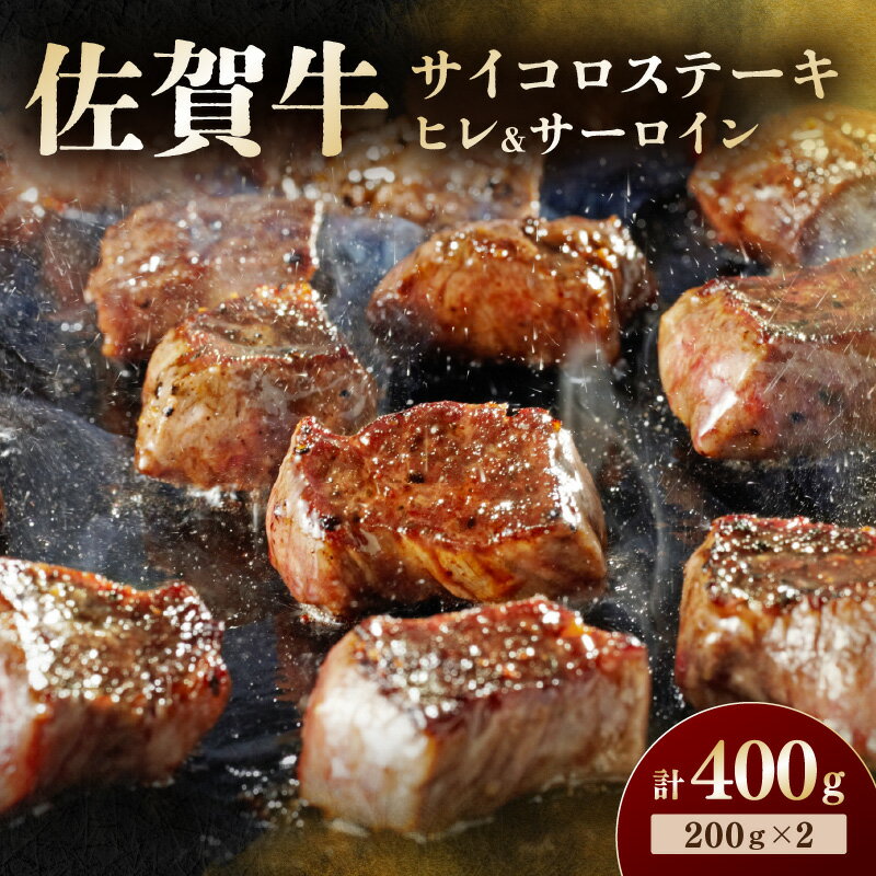 【ふるさと納税】佐賀牛 高級部位ヒレとサーロインの食べ比べセット 194-J1899