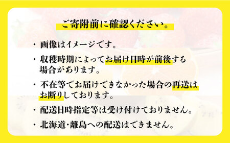 【全3回定期便】九州・福岡もぎたて フルーツ定期便 A＜一般社団法人地域商社ふるさぽ＞那珂川市フルーツ定期便  果物定期便 くだもの [GBX014]40000 40000円