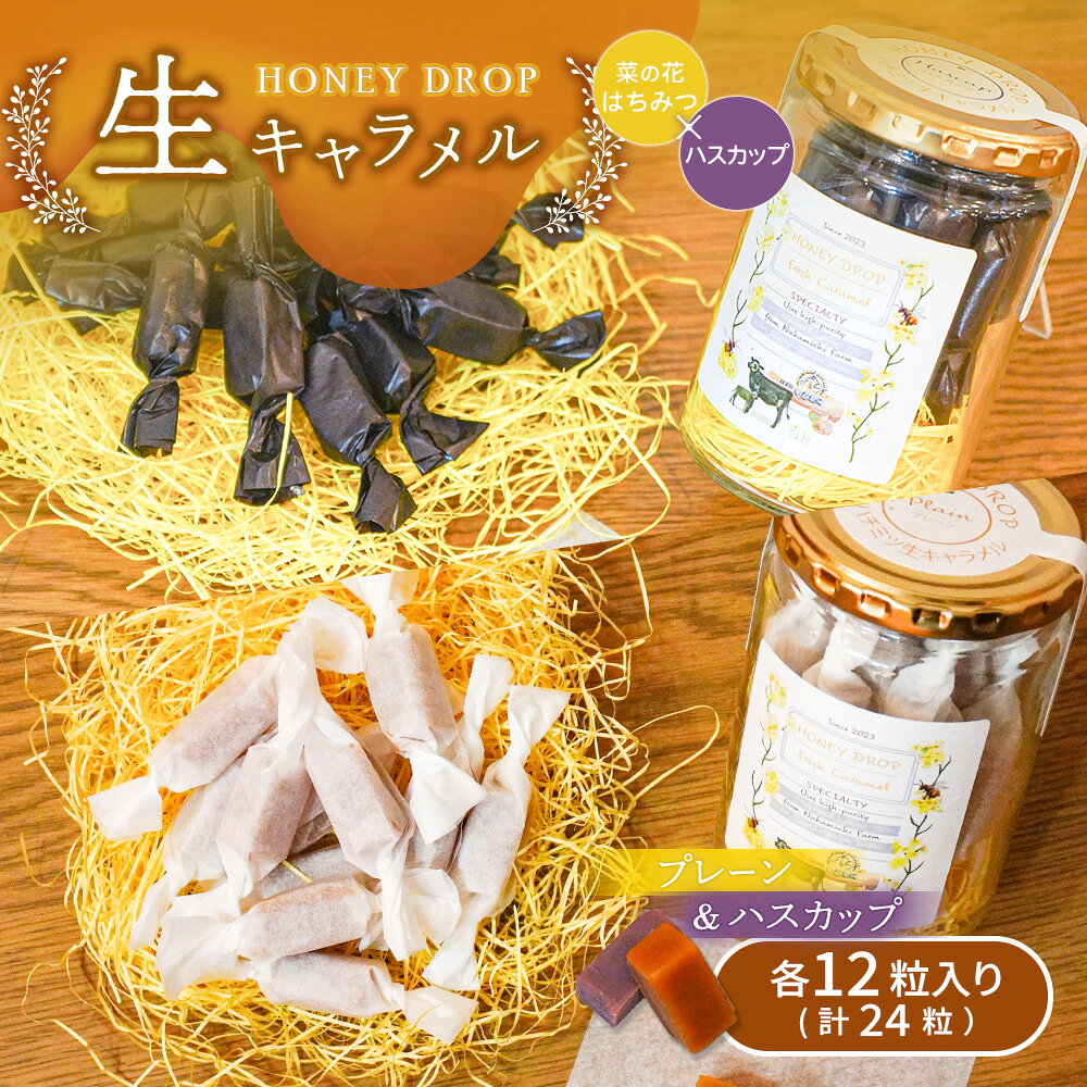 【ふるさと納税】【HONEY DROP】菜の花はちみつ生キャラメル(プレーン・ハスカップ) 2ダース（24粒入り） | 生キャラメル キャラメル フルーツキャラメル 厚真町産ハスカップ 生乳 濃厚 贅沢 お菓子 スイーツ ご当地スイーツ お取り寄せ 北海道 恵庭市 恵庭【75003AA0101】