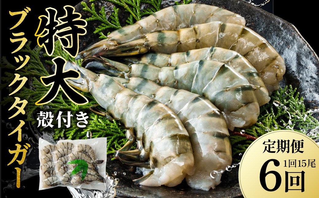 
                  【6回定期便】特大 ブラックタイガー 無頭えび 570g前後（15尾）×6回 ｜海老 えび エビ エビフライ 海老フライ えびフライ エビチリ 天丼 海鮮丼 すし スシ 寿司 ブラックタイガー 大型 大容量 海鮮 魚介 殻付き ギフト 進物 贈答 贈り物 誕生日 おくりもの プレゼント 冷凍 大阪府 阪南市
                