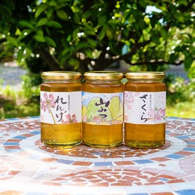 ふるさと納税 小郡市 はちみつ 天然 純はちみつ 370g×3本セット やまみつ&amp;さくら&amp;れんげ[No5354-0303]