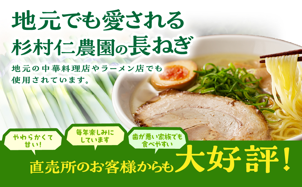 杉村仁農園の甘くてやわらかい長ネギ 5kg NACA001